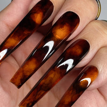 Load image into Gallery viewer, TORTIE KIT
