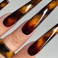 Load image into Gallery viewer, TORTIE KIT
